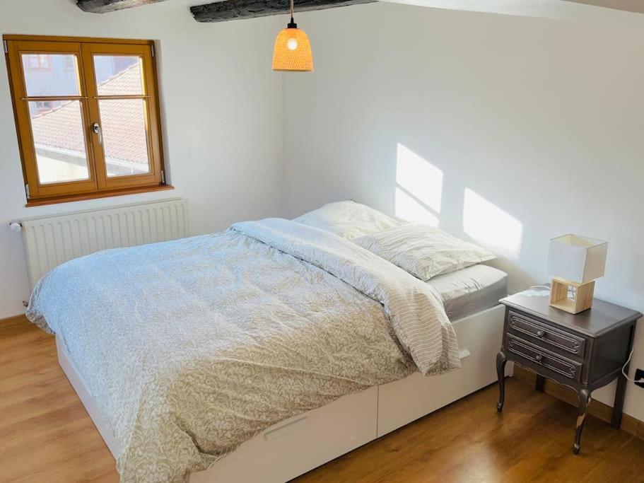 Bien Dans Vos Schlopps Villa Dambach Dış mekan fotoğraf