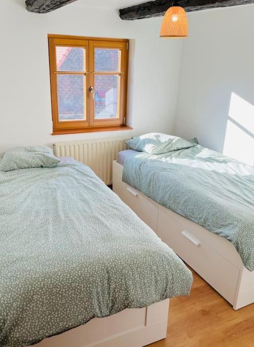 Bien Dans Vos Schlopps Villa Dambach Dış mekan fotoğraf